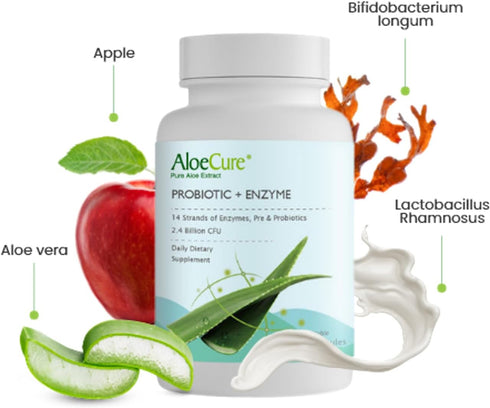 AloeCure Probiotics + Enzyme Capsules | 30 Capsules | 2.4 Billion CFU for Women's Digestive Health | Daily Aloe