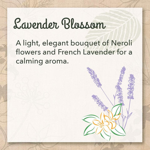 Eco Me Natural Non-Toxic Liquid Laundry Detergent, Lavender Blossom Scent, 32 Ounce