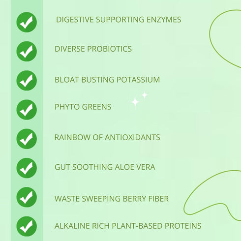 Consult Health Gut-Duction Bloat Control, Gut Health Support Superfood Formula, Plant Based Proteins, 28 Servings
