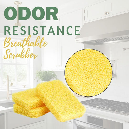 Peachy Clean Kitchen Dish Sponge & Scrubbers, Fresh Lemon Scent, Non-Scratch, Odor-Resistant, Durable Silicone Dish