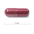 Jamieson Resveratrol, 30 Capsules
