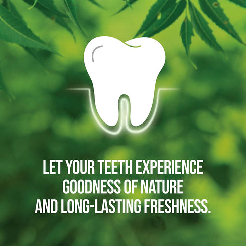 NEEM ACTIVE 200 Pack Toothpaste gram
