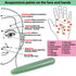 Gua Sha Massage Tools Jade Manual Stick for Deep Tissue Natural Facial & Full Body Pain Relief