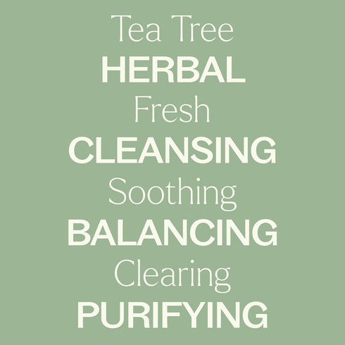 Plant Therapy Tea Tree (Melaleuca) Hydrosol, 4 oz, by-Product of Essential Oils