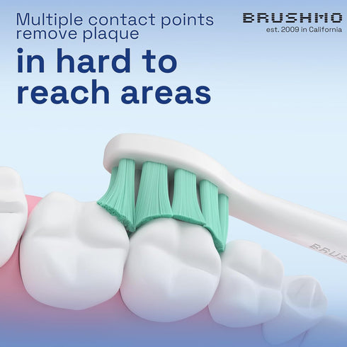 Brushmo Replacement Toothbrush Heads 10 pc Variety Pack Compatible with Philips Sonicare Electric Toothbrush