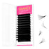 TDANCE Easy Fan Lash Extension, Rapid Blooming Volume Eyelash Extensions, C CC D DD J B L Curl, 0.03-0.12mm