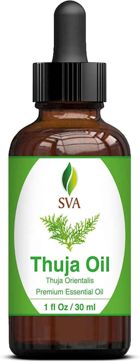 SVA Thuja Essential Oil, 1 Fl Oz, 100% Natural for Aromatherapy, Skin Care, Soap Making