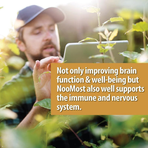 Organic Lions Mane Supplement Capsules 5400mg, Ginkgo Biloba 120mg, Vegan for Cognitive Function, 2 Months