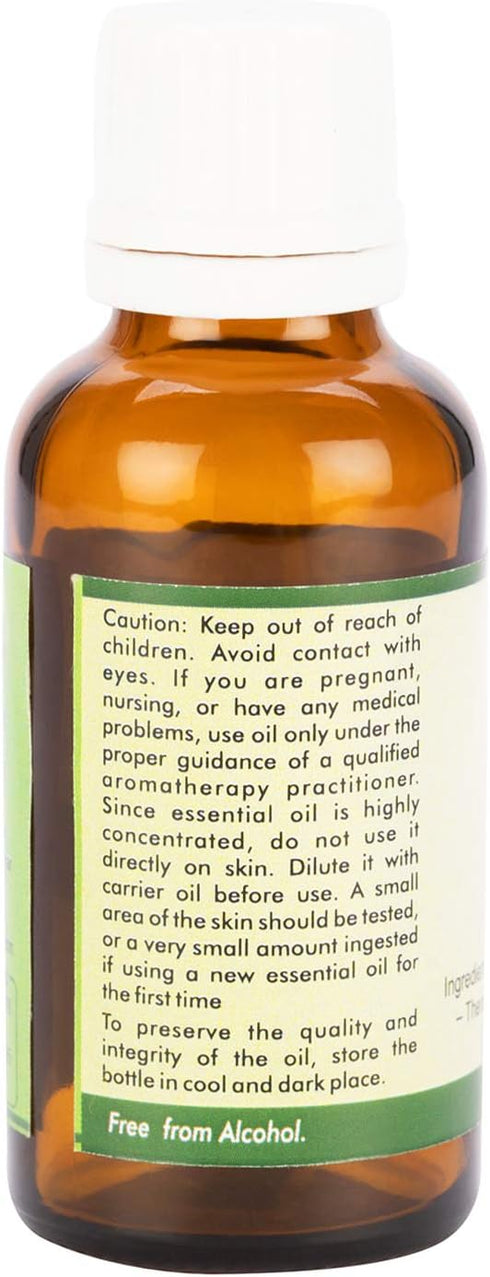 Asafoetida Essential Oil | Heeng Oil | Ferula Assa | Asafoetida Oil | Pure Heeng Oil | Pure Asafoetida Oil | 100% Pure Natural | Steam Distilled | Therapeutic Grade | 5ml | 0.169oz by R V Essential