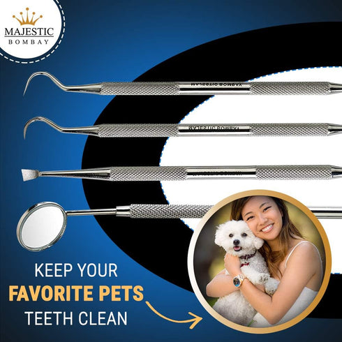 Dental Hygiene Tool Set, Stainless Steel Dental Kit with Tooth Pick, Mouth Mirror, Tarter Scraper, and Protective Case