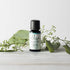 Ellia Diffuser Essential Oil Eucalyptus 15ml, 100% Pure, Therapeutic Grade, 15 mL Bottle, Clear