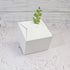 WEWILUCK Small White Gift Box, 10 PCS Pretty Favor Boxes with Lids for Wedding, Birthday, Party, Holiday