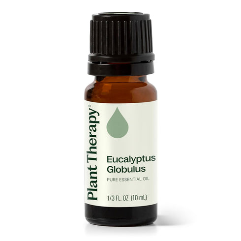 Plant Therapy Eucalyptus Globulus Essential Oil, 10 mL (1/3 oz) for Diffuser, Skin, Hair, Aromatherapy