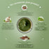 cosmix No Nonsense Plant Protein - Organic Brown Rice & Pea Isolate, 24G Protein/Serving, Gluten & Lactose Free,