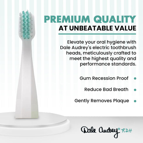 Ayurvedic Quick Sonic Toothbrush Head Replacement for Adults, DailyClean Toothbrush, 2 Count