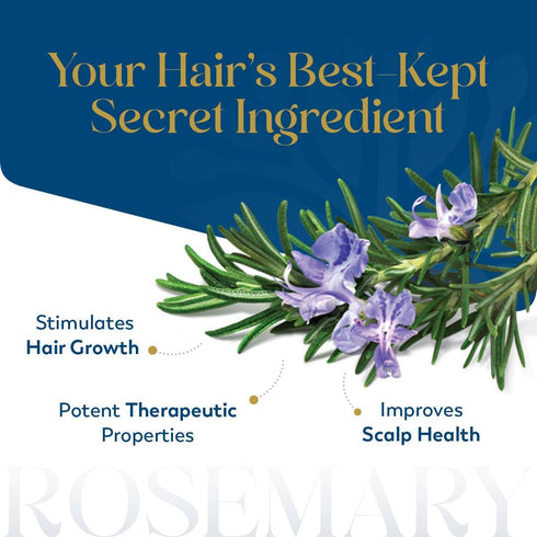 Herbsindia 3.3 Oz 100% Rosemary Essential Oil for Hair - Huge Fl - Pure - Premium Grade with Glass Dropper, Undiluted