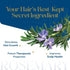 Herbsindia 3.3 Oz 100% Rosemary Essential Oil for Hair - Huge Fl - Pure - Premium Grade with Glass Dropper, Undiluted