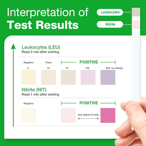 Easy@Home UTI Urine Testing Kit, 10 Individual Pouch Test Strips, FSA Eligible for Urinalysis