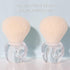 Large Powder Makeup Brush, Blush Brush for Loose or Pressed Setting Powder, Bronzer Brush (Transparent)