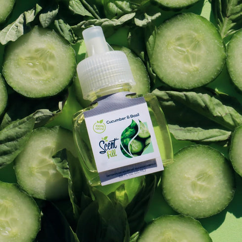 Scent Fill 100% Natural Cucumber Basil Plug in Air Freshener, 3 Refills