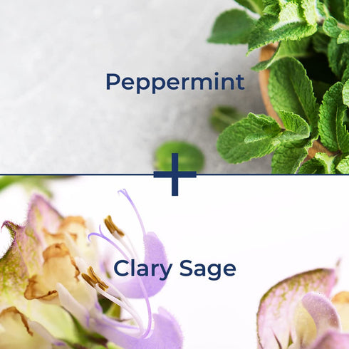 Kiss My Face De-Stress 2-in-1 Body Wash & Bath Soak, Peppermint + Clary Sage, Vegan and Cruelty Free
