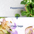 Kiss My Face De-Stress 2-in-1 Body Wash & Bath Soak, Peppermint + Clary Sage, Vegan and Cruelty Free