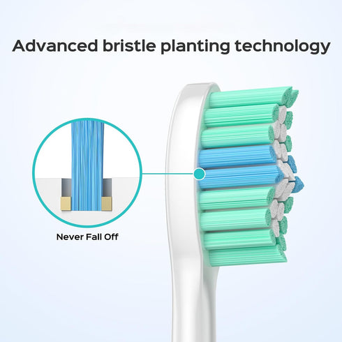 Ipetboom 6 C-40 Pcs Electric Toothbrush Heads Sonic Electric Head Replacement Compatible with Toothbrush - White