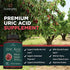 Sunergetic Premium Uric Acid Support Supplement with Tart Cherry, Chanca Piedra, Celery Extract & Turmeric - 60 Capsules