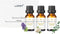 LOXIM Sweet Dreamscape Essential Oil Blends, Pure Natural Essential Oils Set of