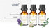 LOXIM Sweet Dreamscape Essential Oil Blends, Pure Natural Essential Oils Set of