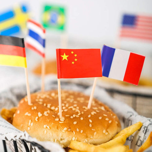 Anley Assorted 100 Different Countries Toothpick Flag, Vivid Double Sided Print & Solid Smooth Pick for Party