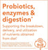 NOW Foods Peppermint Gels with Ginger & Fennel Oils, 90 Softgels, Digestive Support*