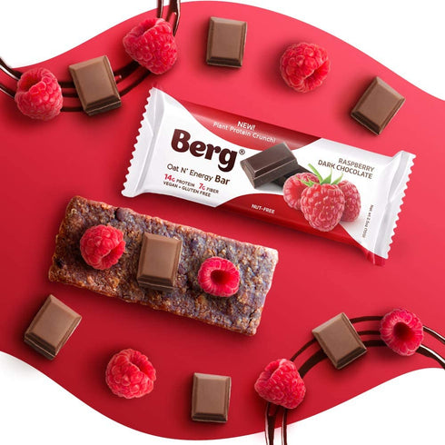 Berg Oat N' Energy Bar | Plant Based Protein Bar | Low Sugar, Healthy Snack Bar | Non-GMO, Gluten Free, Vegan | 2.5oz,