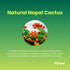 Nopal Cactus Extract 20,000mg - 120 Veggie Capsules for Antioxidant, Skin, Metabolism, Wellness & Heart Health Support
