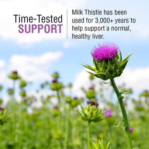 SOLARAY Milk Thistle Seed Extract, 175mg, Antioxidant for Healthy Liver, Non-GMO & Vegan