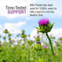 SOLARAY Milk Thistle Seed Extract, 175mg, Antioxidant for Healthy Liver, Non-GMO & Vegan