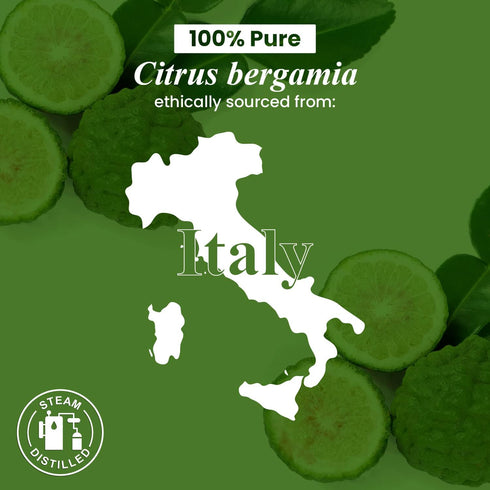 Handcraft Blends Bergamot Essential Oil - 100% Pure Natural Premium Grade Oil for Diffuser and Aromatherapy