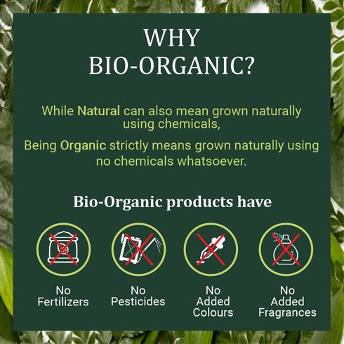 INDUS VALLEY Bio Organic Shikakai Powder for Hair Care, 200g