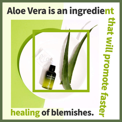 THE SKIN HOUSE Aloe Fresh Serum 1.7 fl.oz - Soothing & Moisturizing Facial Serum with Aloe Vera & Collagen
