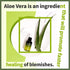 THE SKIN HOUSE Aloe Fresh Serum 1.7 fl.oz - Soothing & Moisturizing Facial Serum with Aloe Vera & Collagen