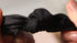 Pack of 2 Knotted Bow Hair Scrunchies - Elastic Hair Scarf Black Hair Ties Bands for Women and Girls