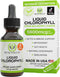 Benevolent Nourishment Chlorophyll Supplement, Detox & Immune Support, Internal Deodorizer, Liquid Drops