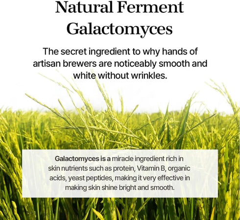 mixsoon Galactomyces Ferment Essence 3.38 fl oz / 100ml