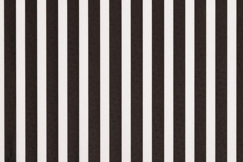 Premium Tissue Paper, Black & White Stripes, 20 X 30-24 Sheet