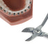 Orthodontic Instruments Tool Set, Hard Wire Cutter, Dental Ortho Tools