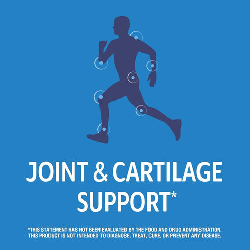 21st Century Arthriflex Advantage Tablets - 120 Count for Joint Support