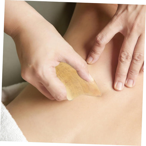 NOLITOY Horn Massager Board - Facial Scraping Tool for Relaxation