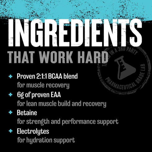 Animal Juiced Amino Acids - BCAA/EAA Matrix Plus Hydration with Electrolytes, Sea Salt, Fruit Punch Flavor, 30 Servings