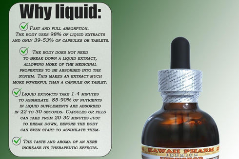 Saw Palmetto Alcohol-Free Liquid Extract, Organic Saw Palmetto (Serenoa Repens) Dried Berry Glycerite, 2 fl. oz, Hawaii