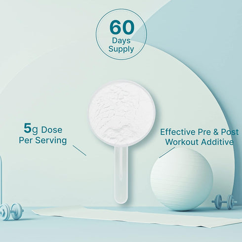 Creatine Monohydrate Powder 300 Grams (60 Servings), Unflavored, Micronized Creatine Powder, Vegan, Keto, Non-GMO
